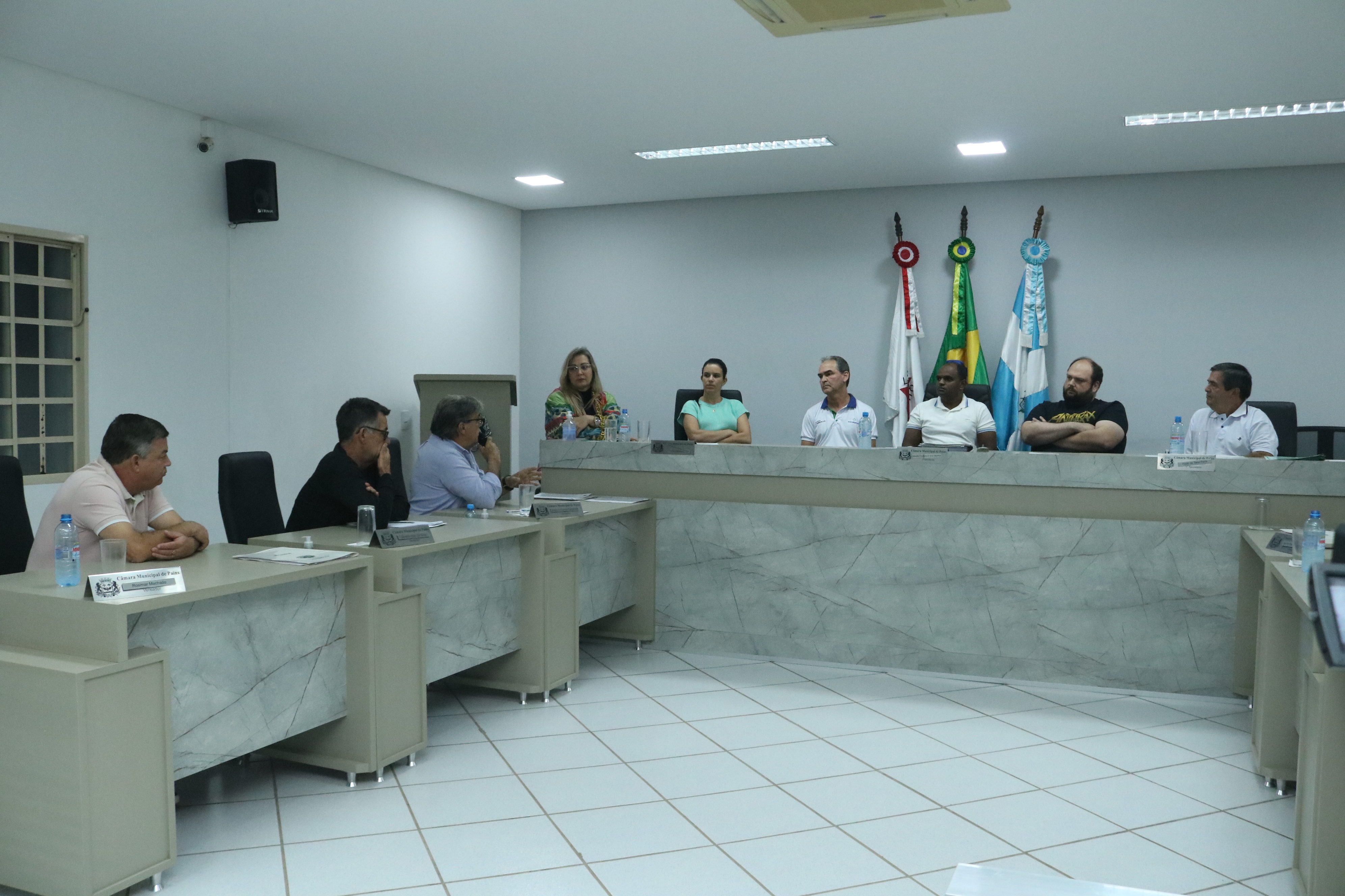 Reuniões têm análise e votação de proposições, correspondências e encaminhamento para as comissões.